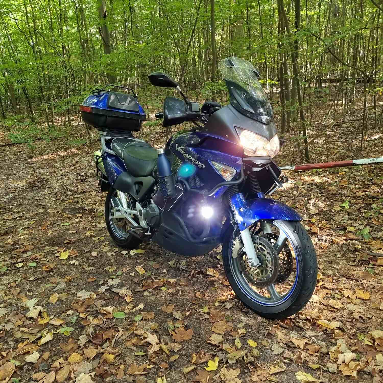 BSS Tag der offenen Tür