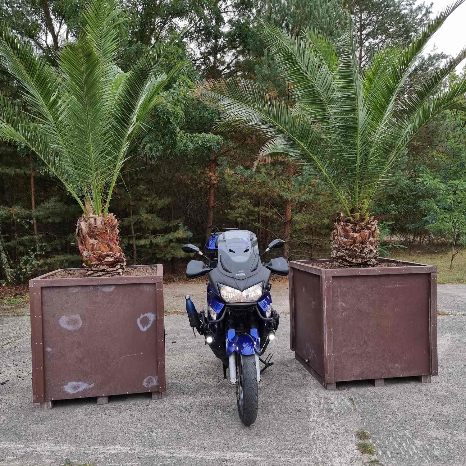 01.10.23 Wendisch Rietz