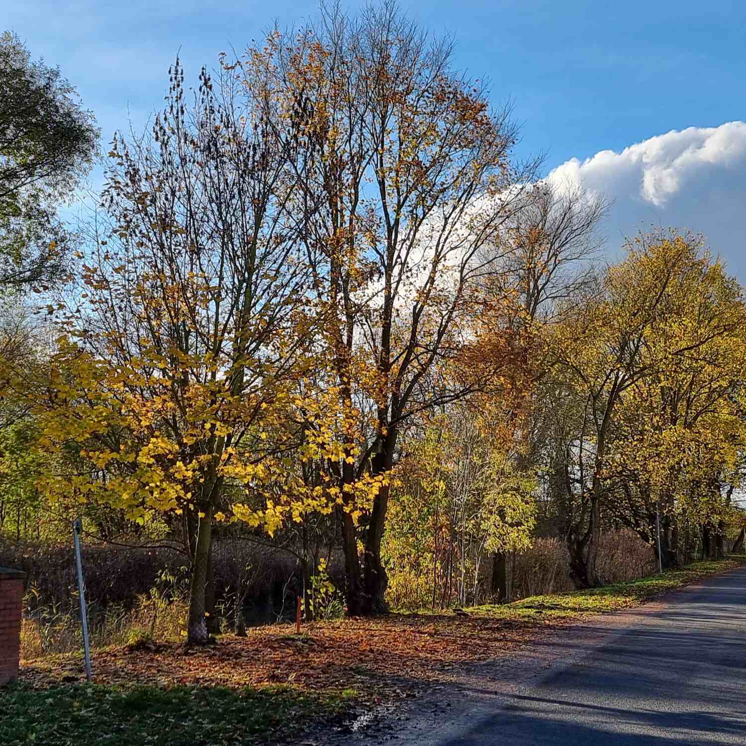 Kurze Runde nach/durch Polen