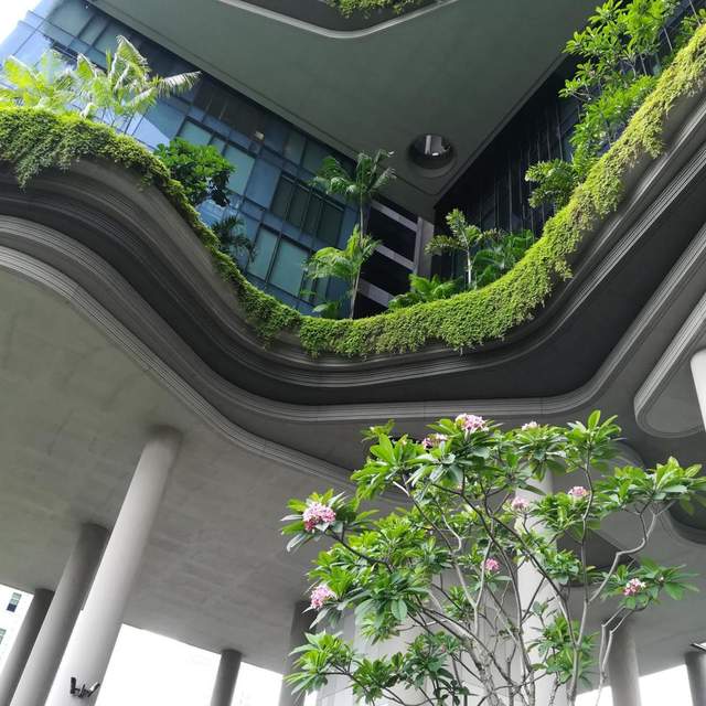 Singapore & Bali