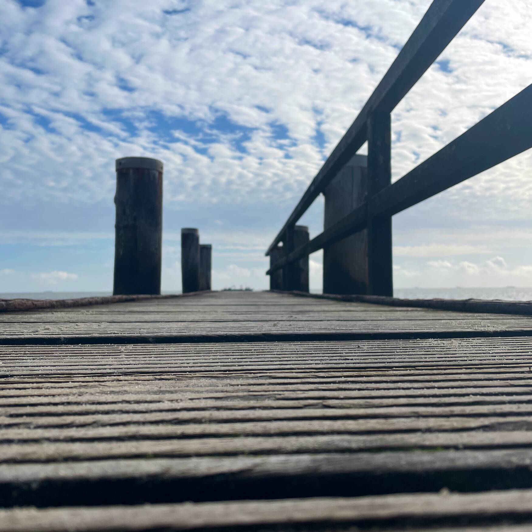 Föhr