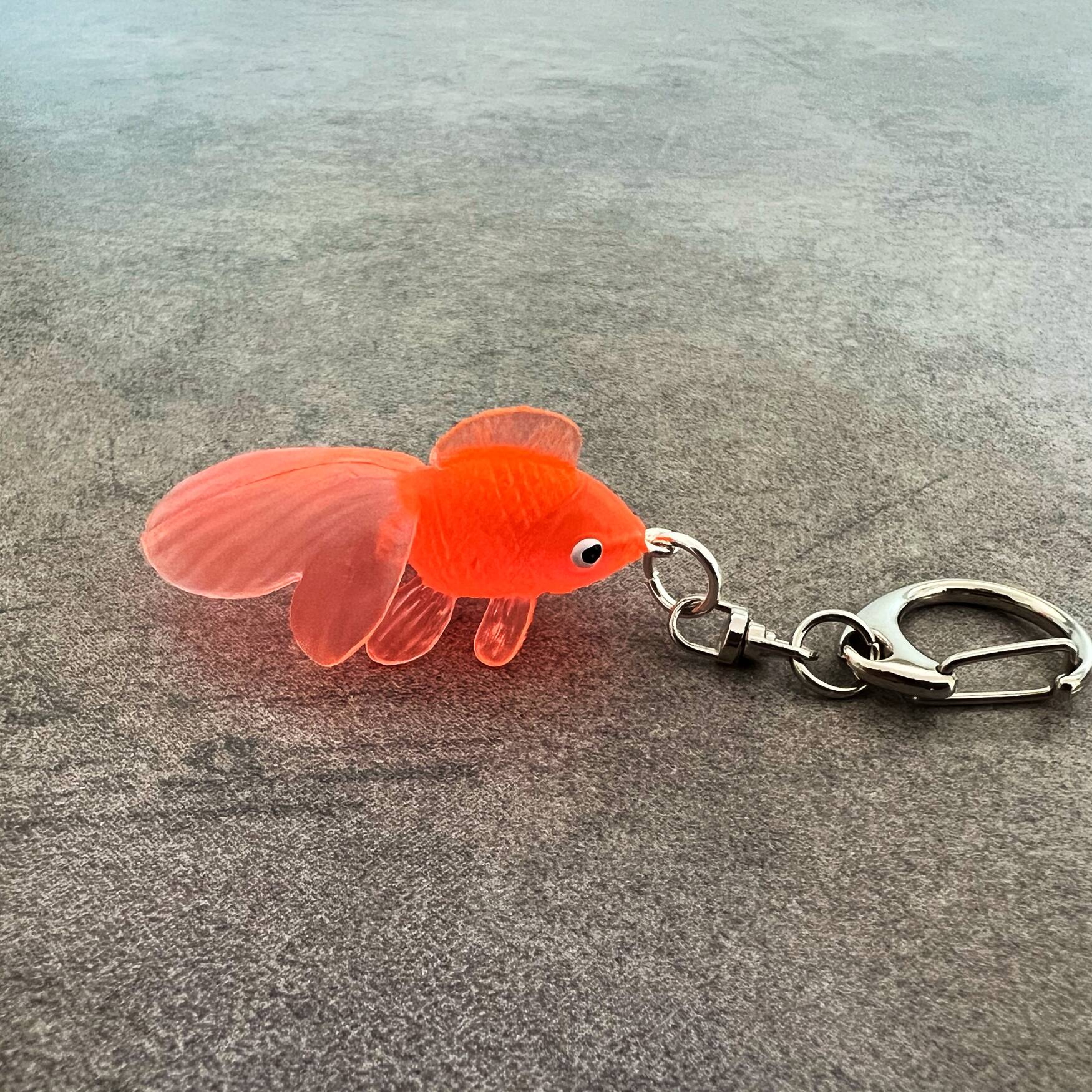 Fisch on Tour