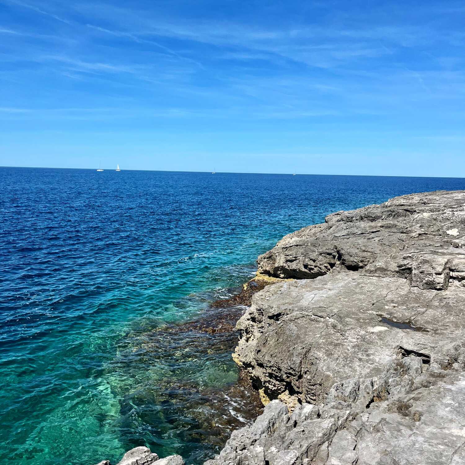 Stoja - Pula