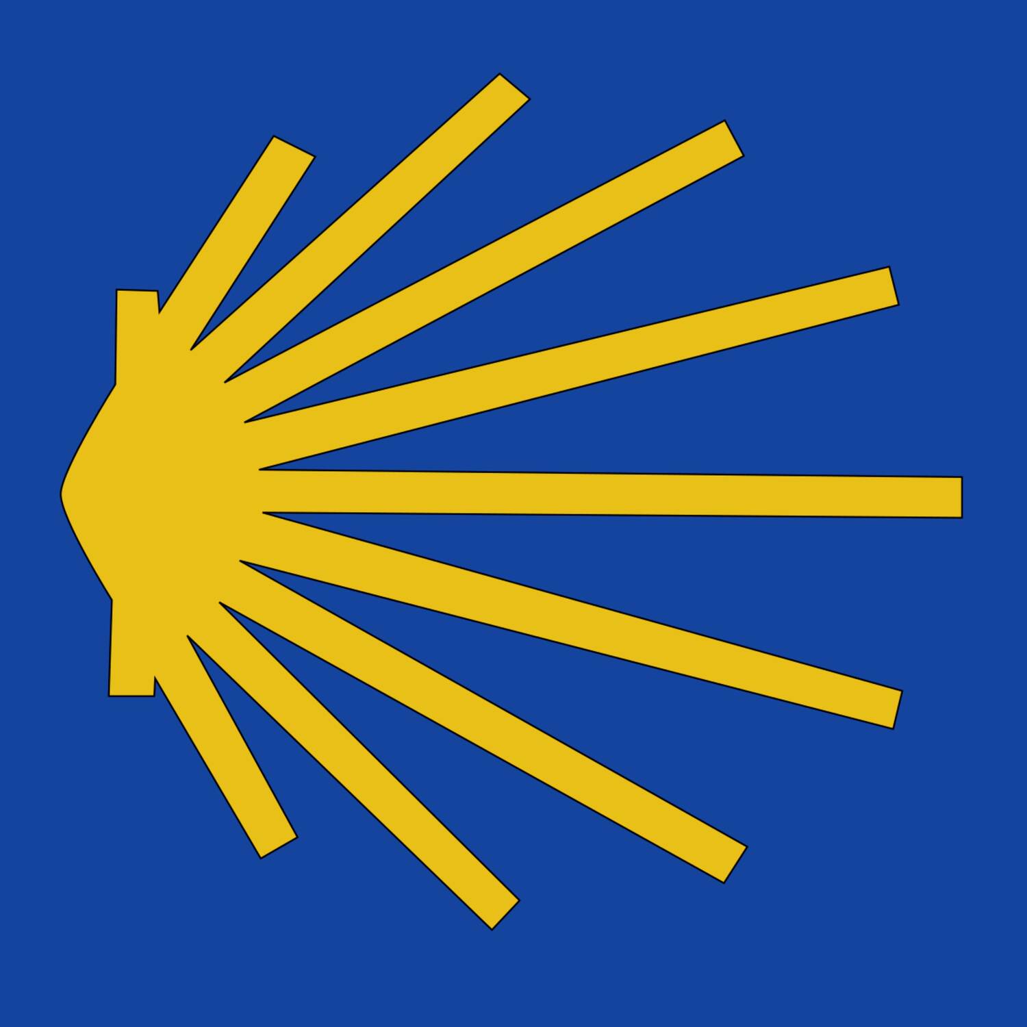 Mi Camino