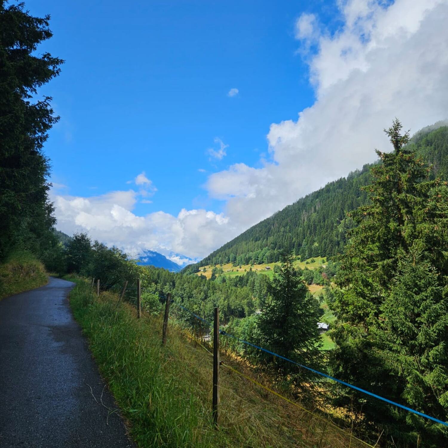 Die 4 E im Wallis