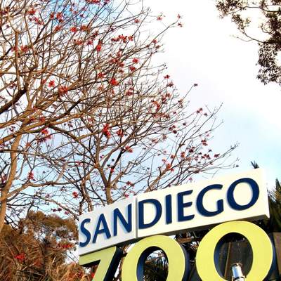 San Diego, CA - Rione's Bday