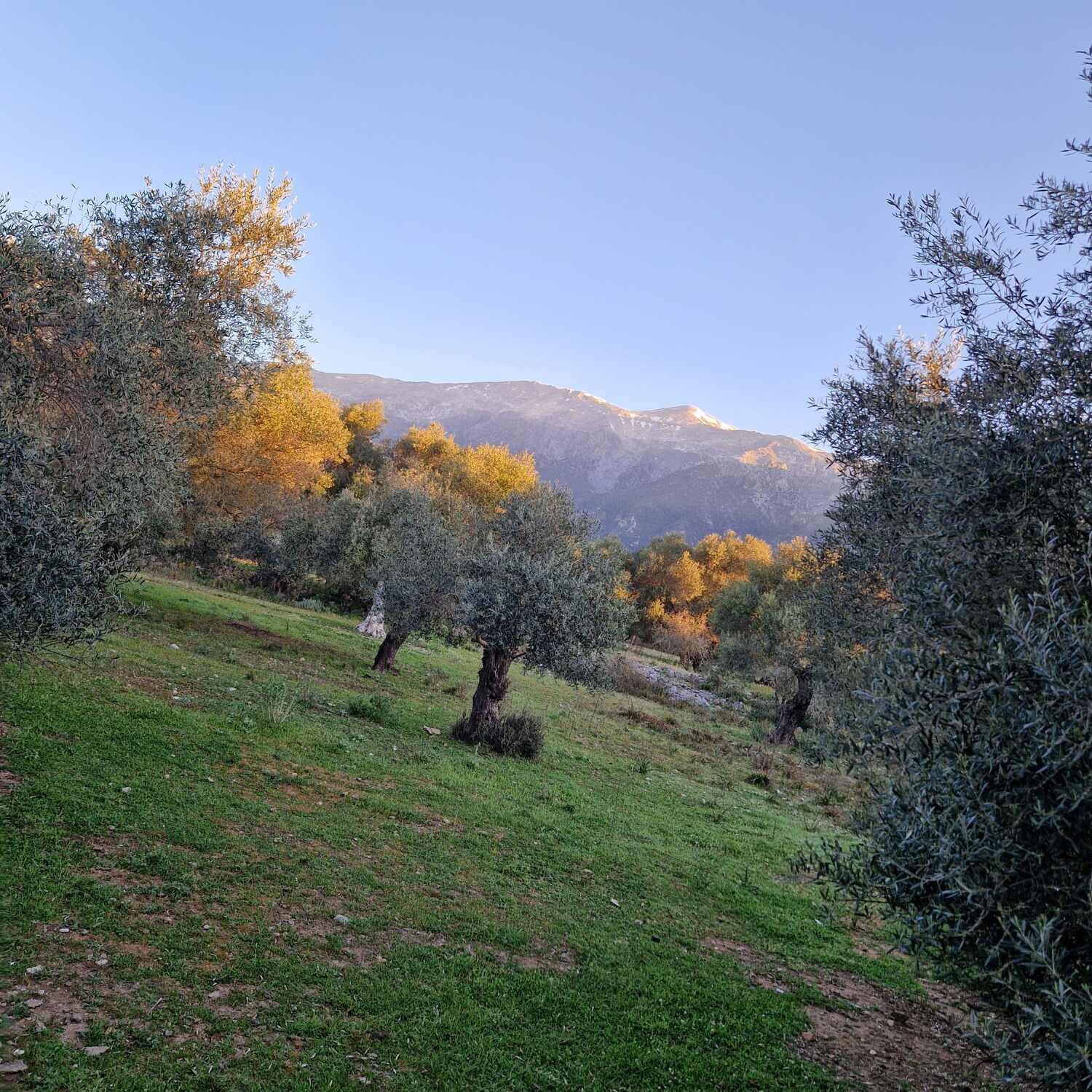 Sfakia 2026