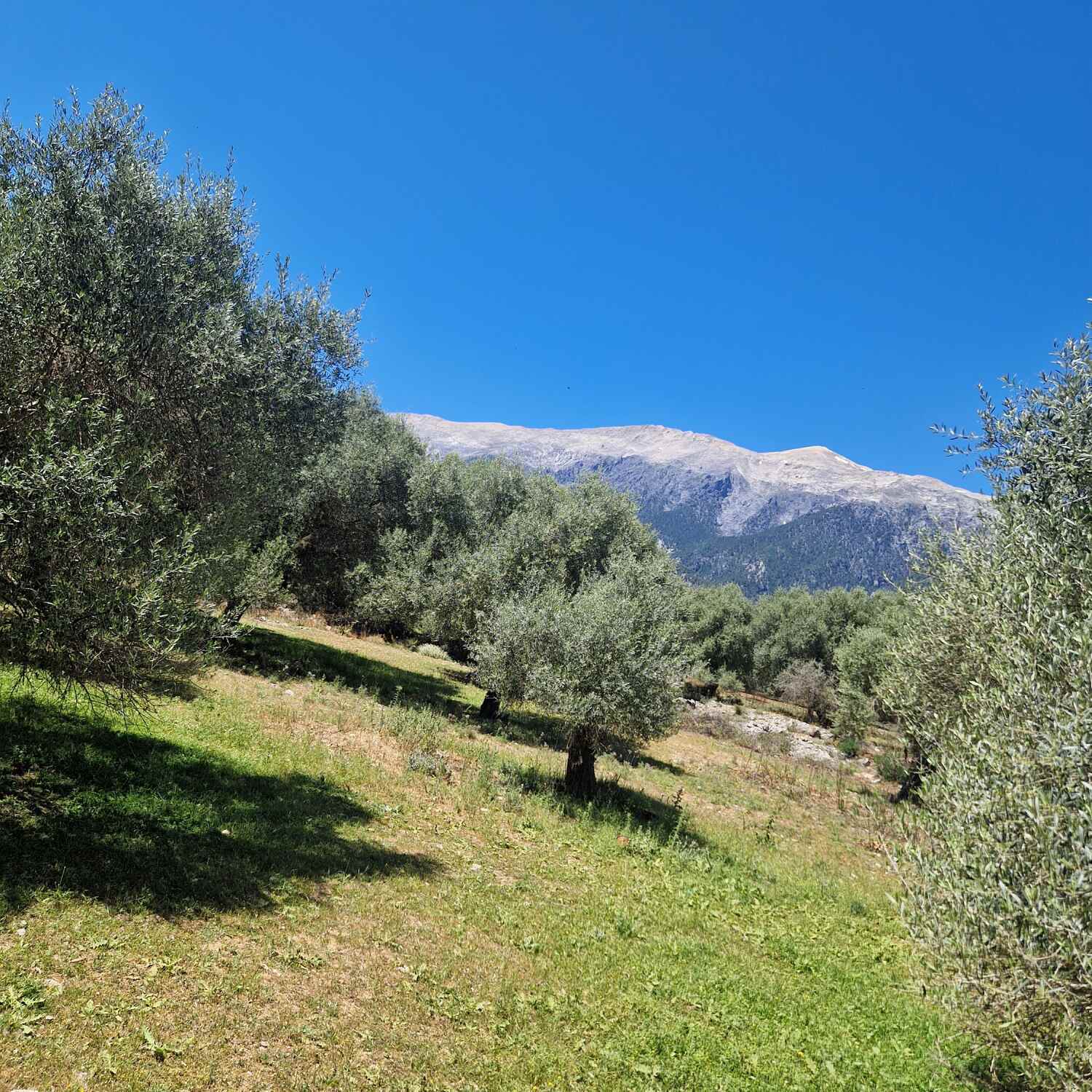 Kreta 2024
