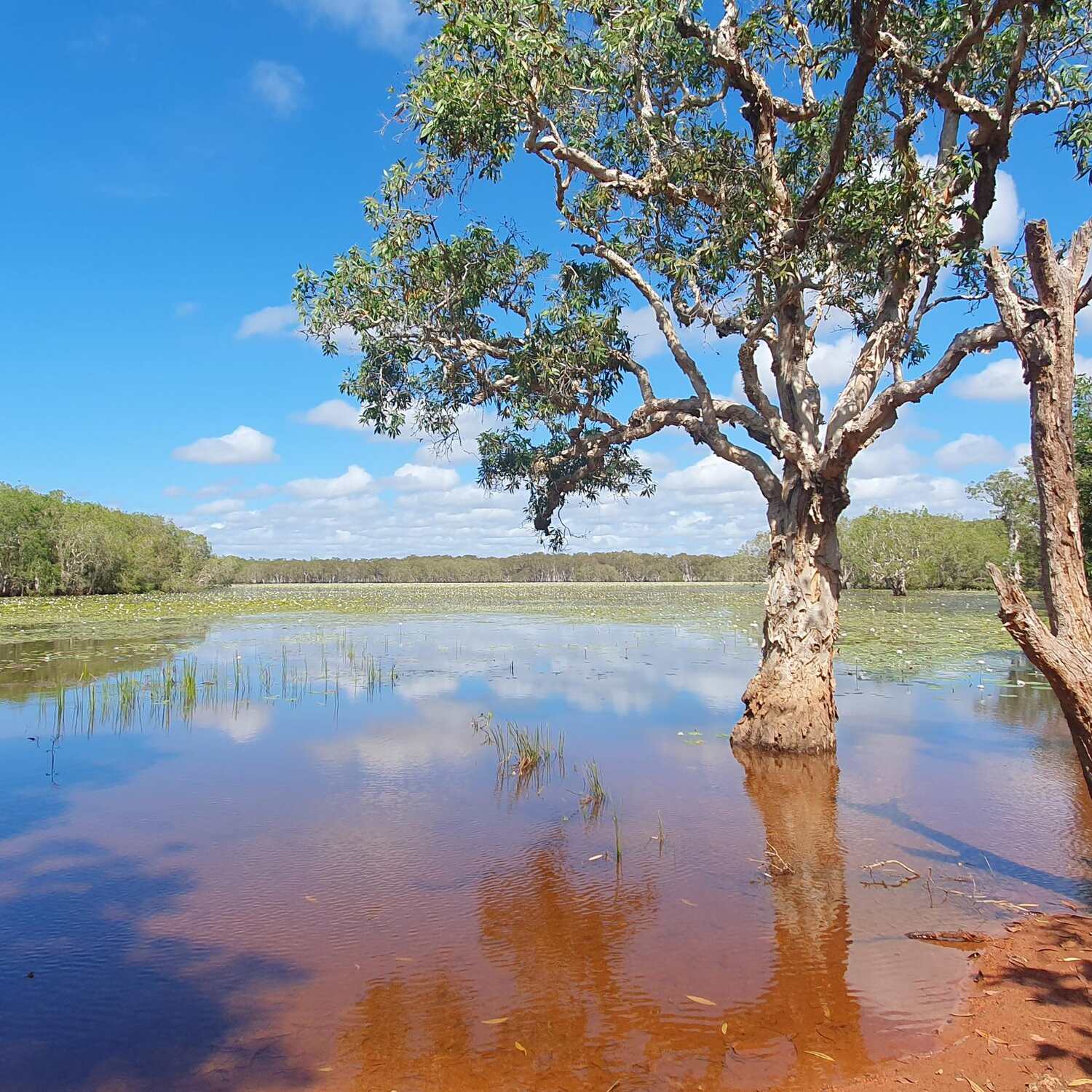 Cape York 2024