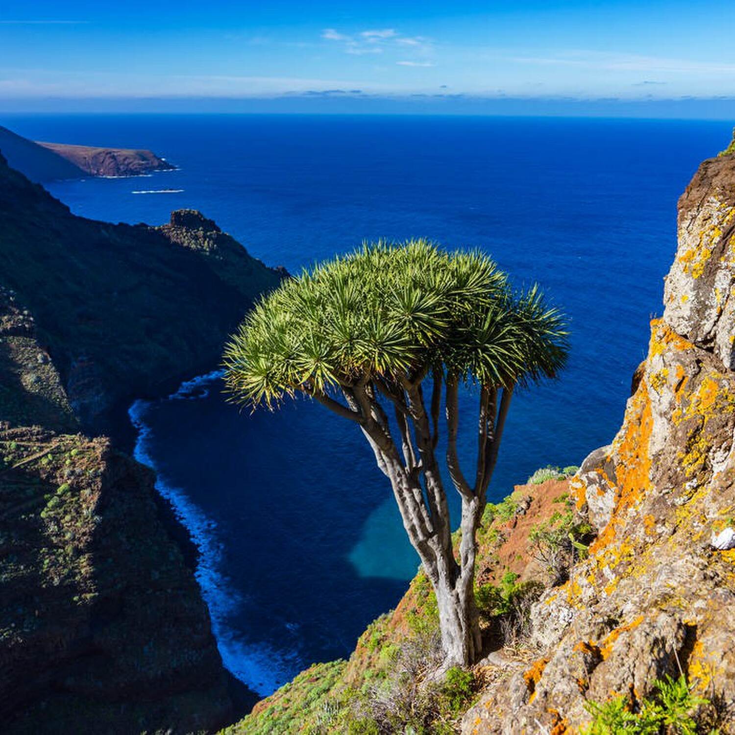 La Palma