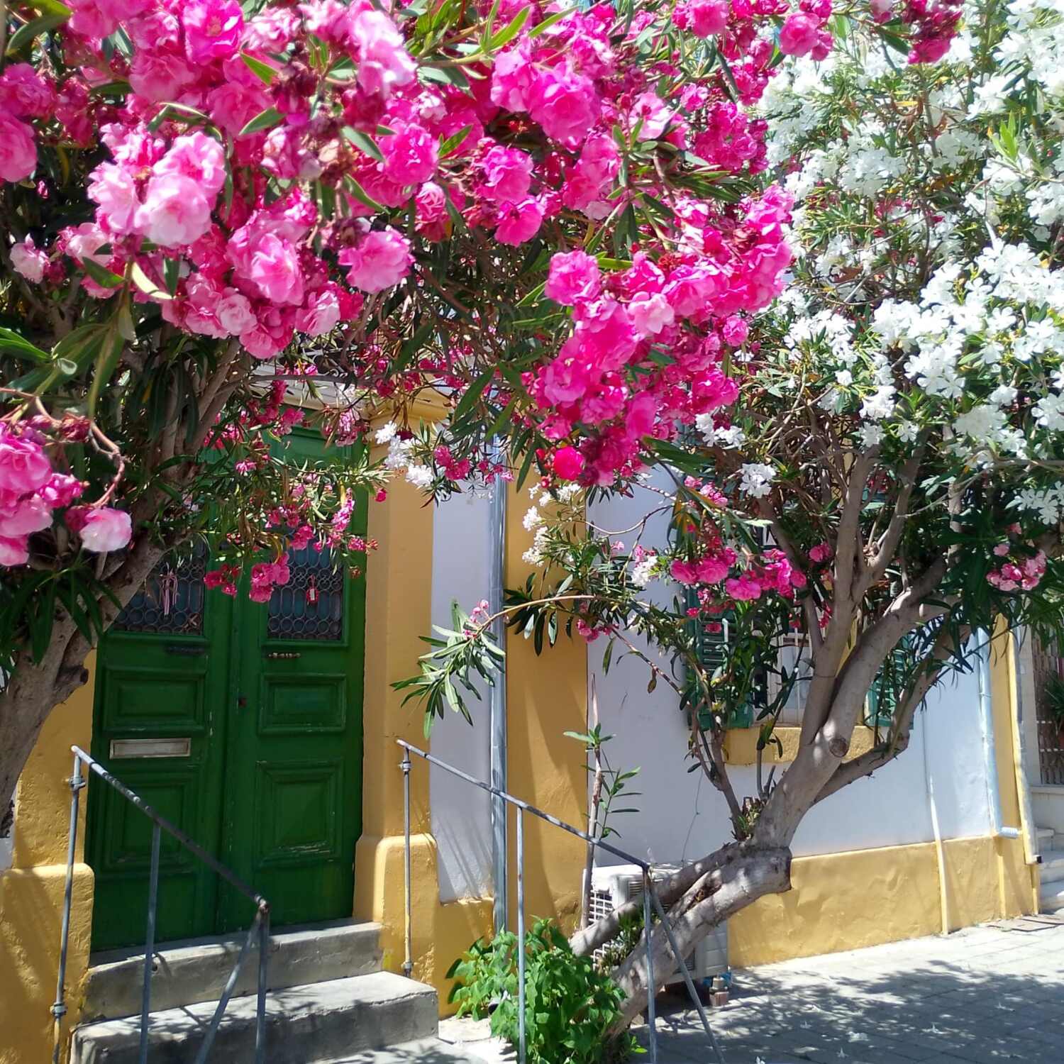 Cyprus