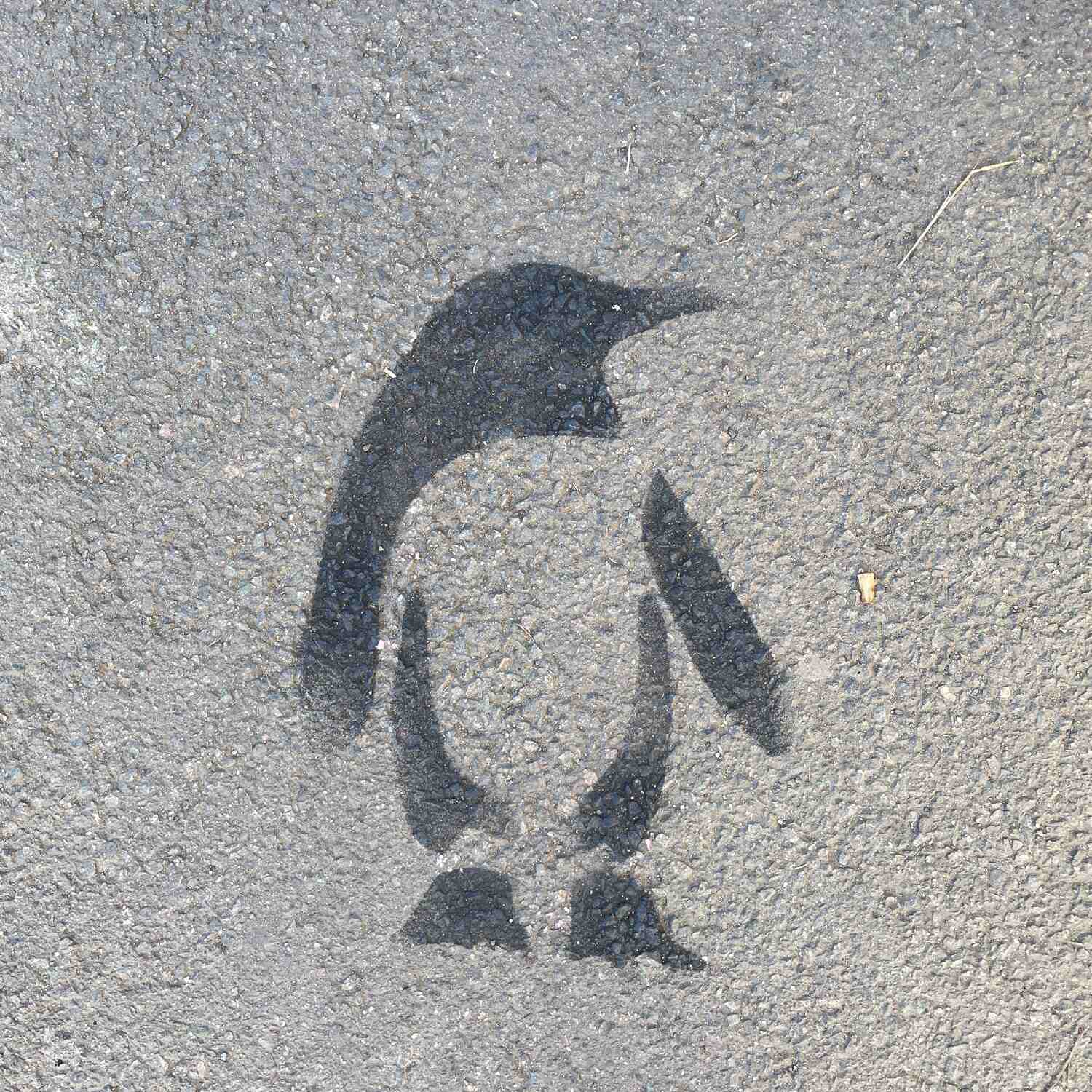 Die Suche nach Pinguinen IV